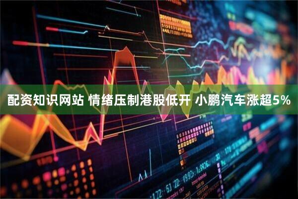 配资知识网站 情绪压制港股低开 小鹏汽车涨超5%